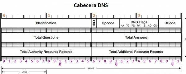 dns-header.jpg dns-header.jpg