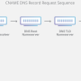 dns-record-request-sequence2.png