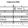 dns-header.jpg